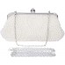 BAIGIO Clutch Damen Perlen Abendtasche Elegant Handtasche für Hochzeit Party Schuhe & Handtaschen