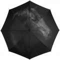 Automatik Regenschirm Taschenschirm Essentials Horse mit wunderschönem Pferdemotiv Koffer Rucksäcke & Taschen