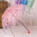 Tinksky Blase Regenschirm romantische kirsche klar regen regenschirm halb-Automatik Koffer Rucksäcke & Taschen